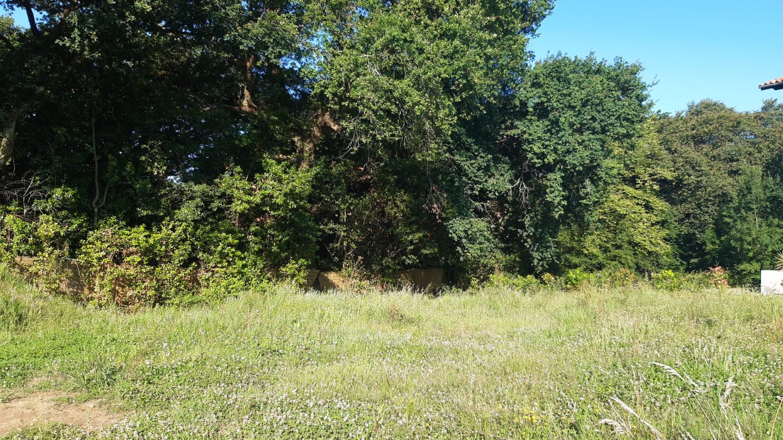 ARCANGUES Terrain  605 m²